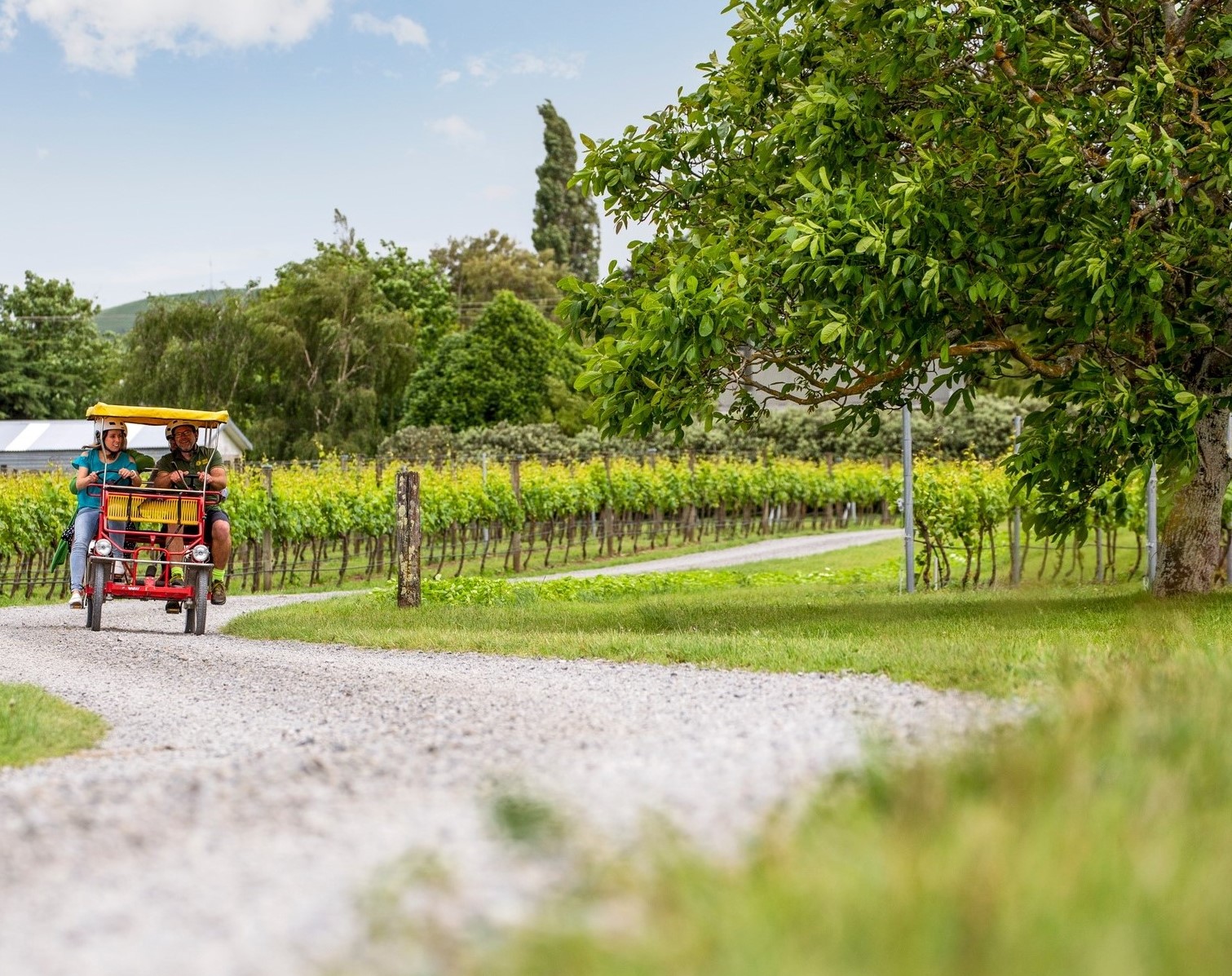 Indi bikers cycling the vines in Martinborough