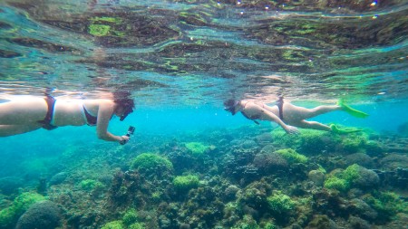 Tourists enjoying Norfolk Island coral reefs