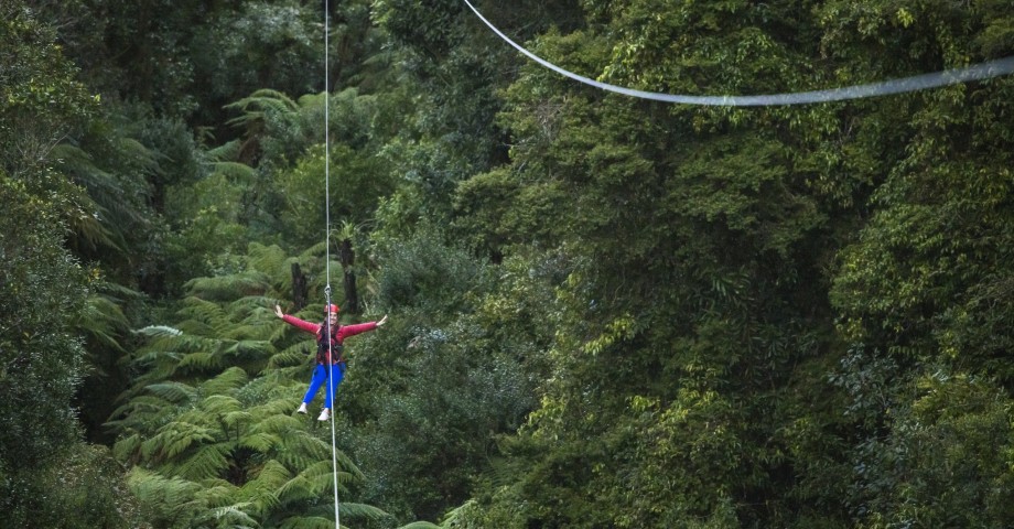 Zipliner on canopy tour