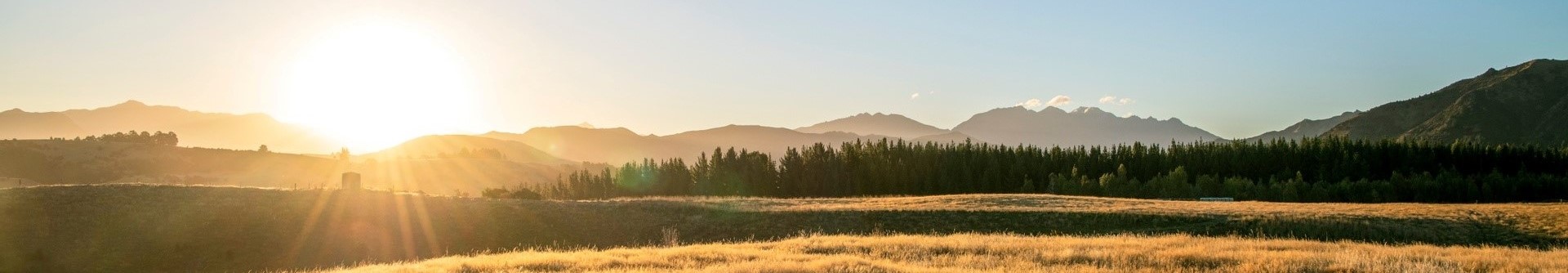 Wanaka landscape