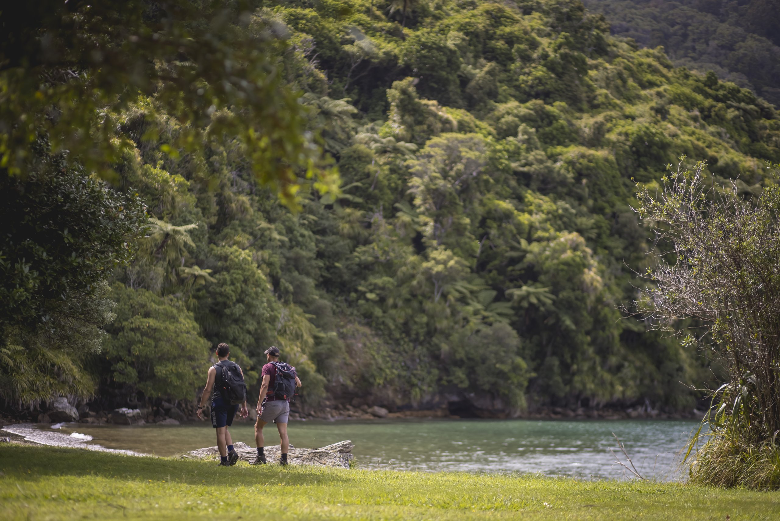 Backpackers walking along waterfront towards forestry