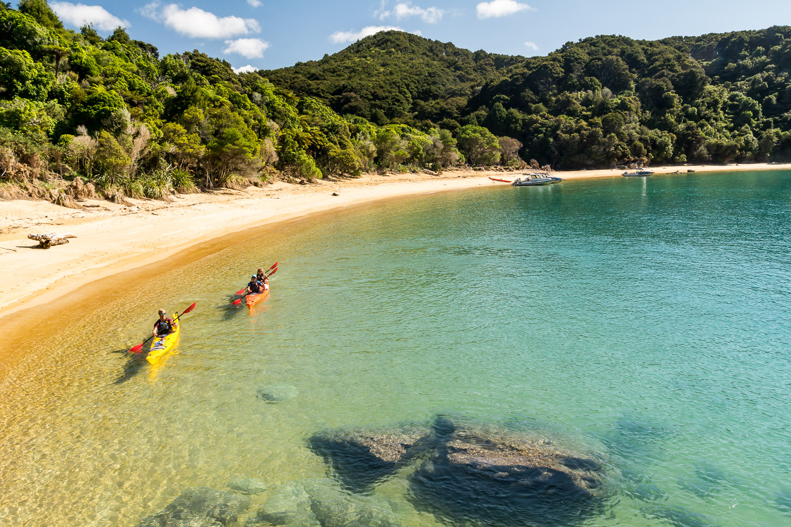 Marahau Sea Kayaks kayakers on The Abel Tasman National Park’s crystal clear water